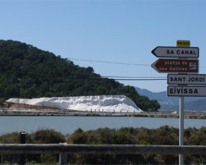 ses-salines